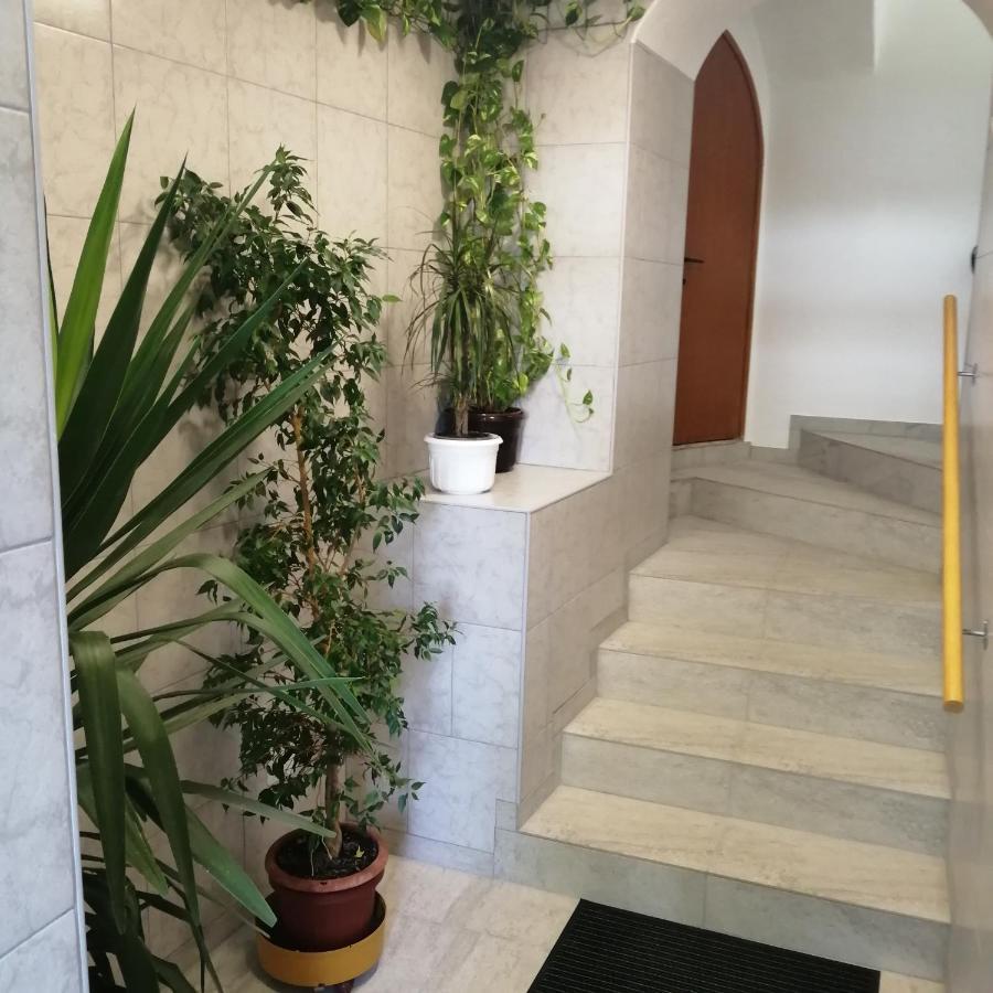 Marijan Apartment *
